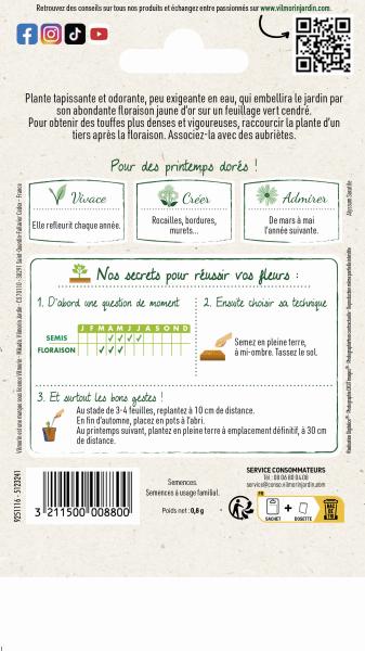 Fleurs - Alysse Corbeille d'Or - MEDIA_PACKAGING_VERSO